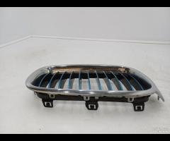 MASCHERA PARAURTI GUIDA DARIA SX BMW 330E F30 F31 - 11