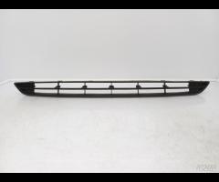 GRIGLIA PARAURTI ANTERIORE GRIGLIA RADIATORE FORD - 2