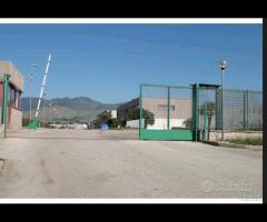 Capannoni industriali da 1000 mq in poi Capua