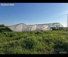 Terreno pronto per attivita agricola falconara ma