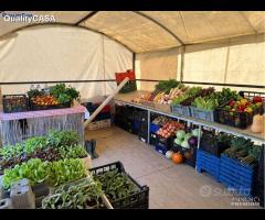 Terreno pronto per attivita agricola falconara ma