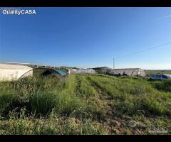Terreno pronto per attivita agricola falconara ma
