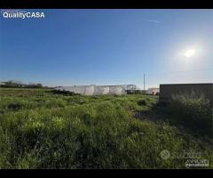 Terreno pronto per attivita agricola falconara ma