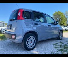 FIAT - Panda - 1.2 Easy - NEOPATENTATI - FINANZIAB - 7