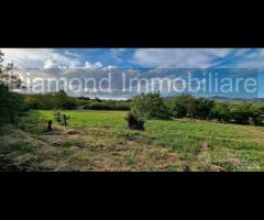 Rustico con uliveto e vigneto a Piedimonte Etneo