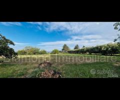 Rustico con uliveto e vigneto a Piedimonte Etneo - 8