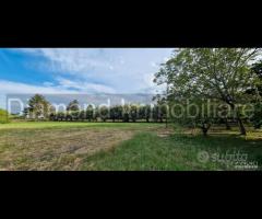 Rustico con uliveto e vigneto a Piedimonte Etneo - 9