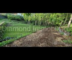 Fabbricato con terreno a Piedimonte Etneo
