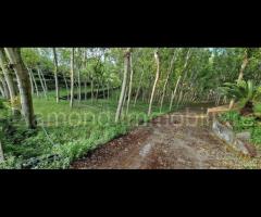 Fabbricato con terreno a Piedimonte Etneo - 11