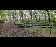 Fabbricato con terreno a Piedimonte Etneo - 14