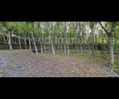 Fabbricato con terreno a Piedimonte Etneo - 19