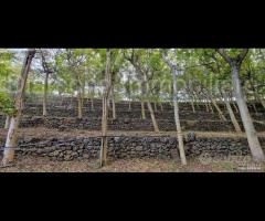 Fabbricato con terreno a Piedimonte Etneo - 20