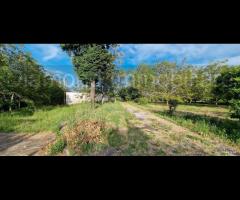 Fabbricati con terreno a Piedimonte Etneo