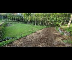 Fabbricati con terreno a Piedimonte Etneo
