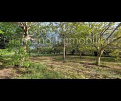 Fabbricati con terreno a Piedimonte Etneo - 7