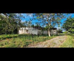 Fabbricati con terreno a Piedimonte Etneo - 9