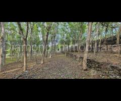 Fabbricati con terreno a Piedimonte Etneo - 16