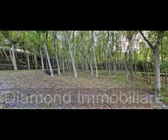 Fabbricati con terreno a Piedimonte Etneo - 19