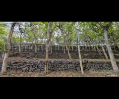 Fabbricati con terreno a Piedimonte Etneo - 20