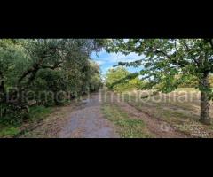 Fabbricati con terreno a Piedimonte Etneo - 22
