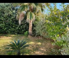 Triscina villetta 4 vani x vacanza relax - 10