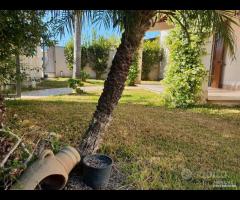 Triscina villetta 4 vani x vacanza relax - 15