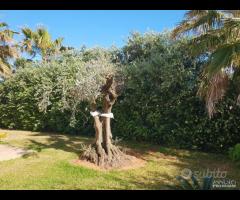 Triscina villetta 4 vani x vacanza relax - 16