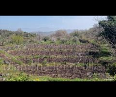 Casa di campagna con terreno a Rovittello - 16