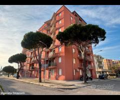 Appartamento Piano terra lido pomposa - 18