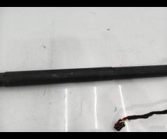 PISTONCINI AMMORTIZZATORE PORTELLONE POST SX/DX SK - 13