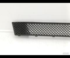 GRIGLIA PARAURTI ANTE GRIGLIA RADIATORE BMW 120D E - 2