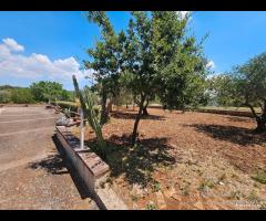 Villetta con terreno in zona San Paolo - 23