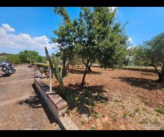 Villetta con terreno in zona San Paolo - 25