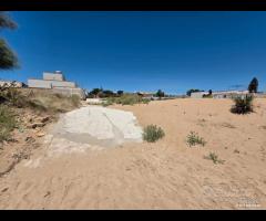 Triscina terreno 300 mq fronte mare - 8