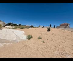 Triscina terreno 300 mq fronte mare - 11