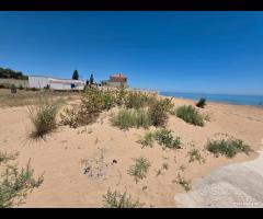 Triscina terreno 300 mq fronte mare - 12