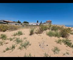 Triscina terreno 300 mq fronte mare - 14