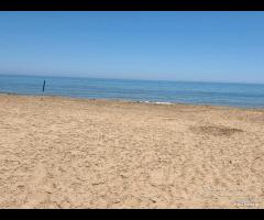 Triscina terreno 300 mq fronte mare - 19
