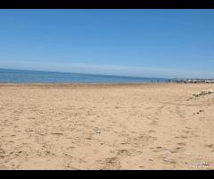 Triscina terreno 300 mq fronte mare - 22