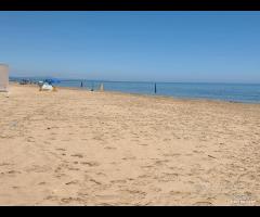 Triscina terreno 300 mq fronte mare - 23