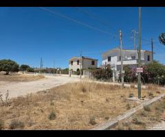 Selinunte terreno edificabile di 1000 mq