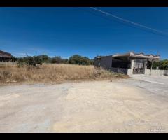 Selinunte terreno edificabile di 1000 mq - 9