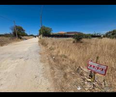 Selinunte terreno edificabile di 1000 mq - 13