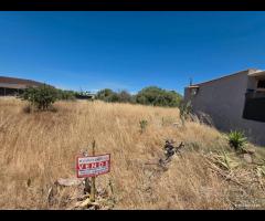 Selinunte terreno edificabile di 1000 mq - 14