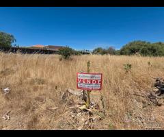 Selinunte terreno edificabile di 1000 mq - 16