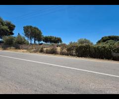 Castelvetrano terreno 3600 mq con progetto