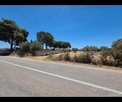 Castelvetrano terreno 3600 mq con progetto