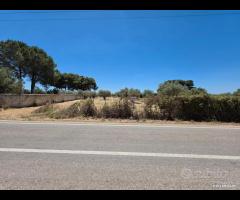 Castelvetrano terreno 3600 mq con progetto