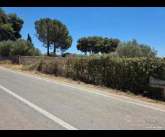 Castelvetrano terreno 3600 mq con progetto - 6