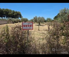 Castelvetrano terreno 3600 mq con progetto - 7